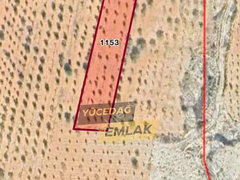 Yücedağ'dan Gaziantep Şahinbey Zeytinli 3.100 M2 Bağ Ve Fıstıklık Satılık Arazi