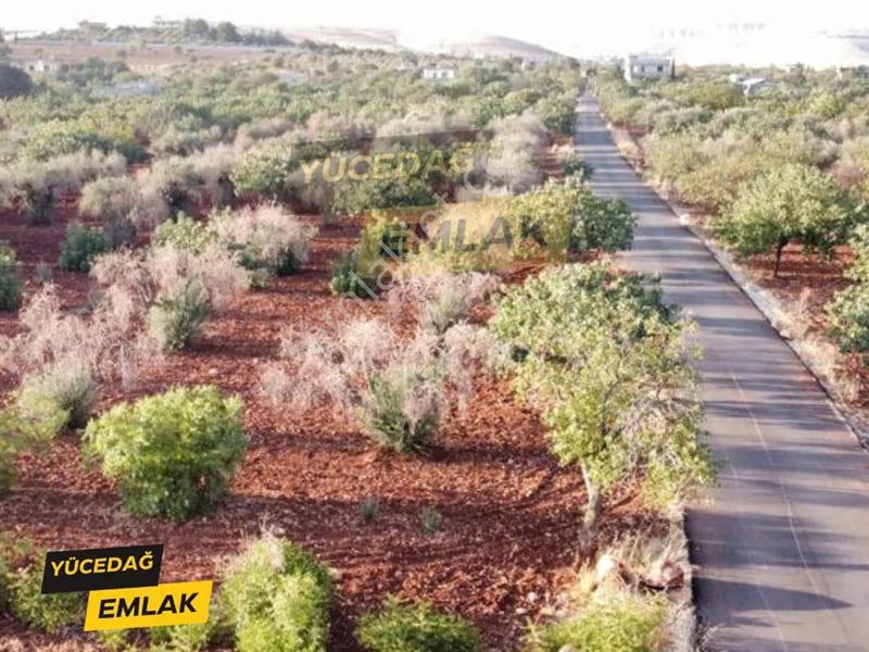 Yücedağ'dan Gaziantep Bağlarbaşı İmarlı Satılık Arsa