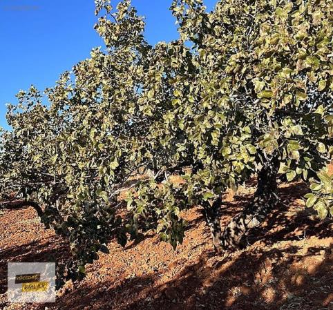 Gaziantep Karacaburç İmara Yakın Uygun Satılık Arazi