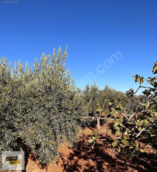 Gaziantep Karacaburç İmara Yakın Uygun Satılık Arazi