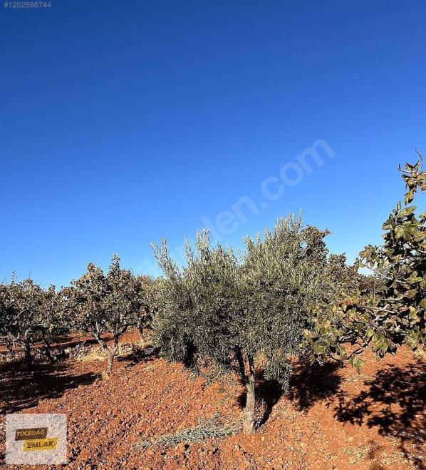 Gaziantep Karacaburç İmara Yakın Uygun Satılık Arazi