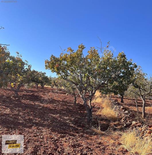 Gaziantep Karacaburç İmara Yakın Uygun Satılık Arazi