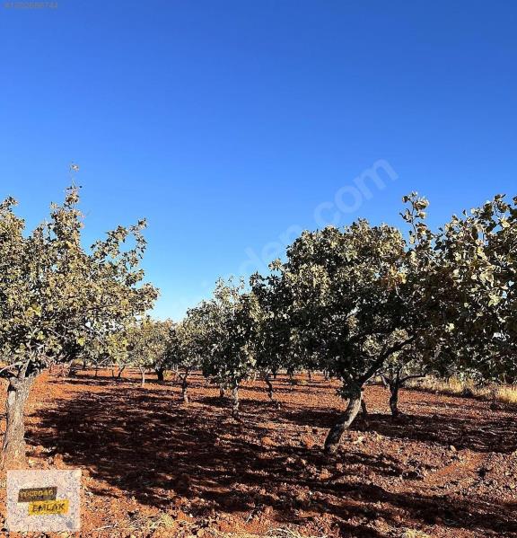 Gaziantep Karacaburç İmara Yakın Uygun Satılık Arazi