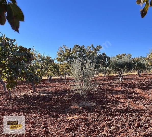 Gaziantep Karacaburç İmara Yakın Uygun Satılık Arazi