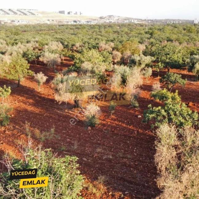 Yücedağ'dan Gaziantep Bağlarbaşı İmarlı Satılık Arsa