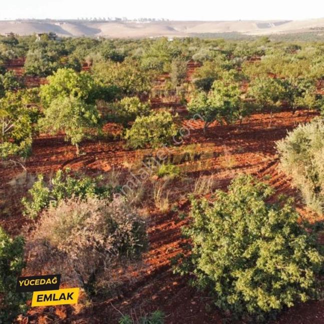 Yücedağ'dan Gaziantep Bağlarbaşı İmarlı Satılık Arsa